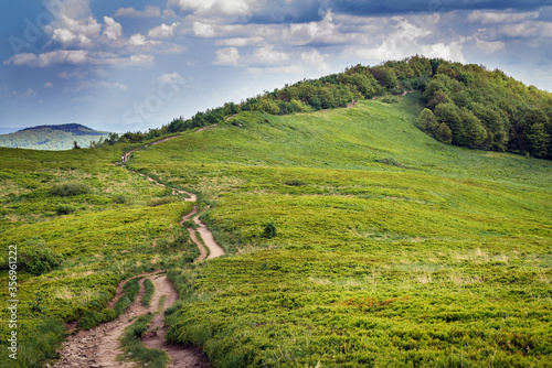 Szare Berdo Mountain, aprt of trail of Wetlina Polonyna montane meadow in Bieszczady Mountains, Poland photo