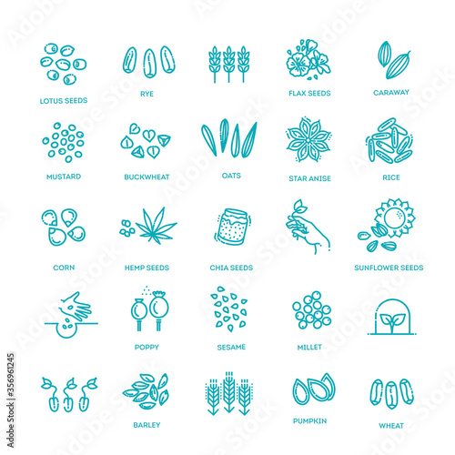 Plant seed vector icon set