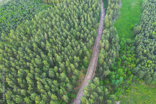 Ground road in the green forest on a spring day. The road through the spring green forest. Shooting from a quadcopter.