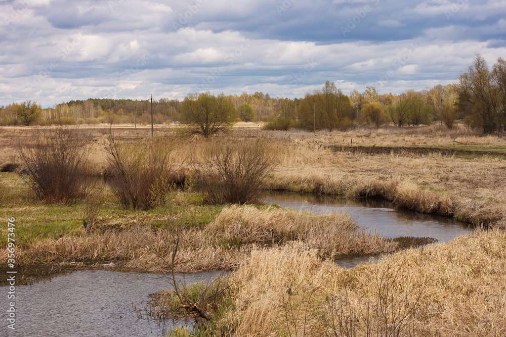 Spring landscape overlooking the picturesque river, shores with dry grass, forest and sky with beautiful clouds. Rural spring landscape. Spring landscape overlooking the picturesque river, shores with dry grass, forest and sky with beautiful clouds. Rural spring landscape.
