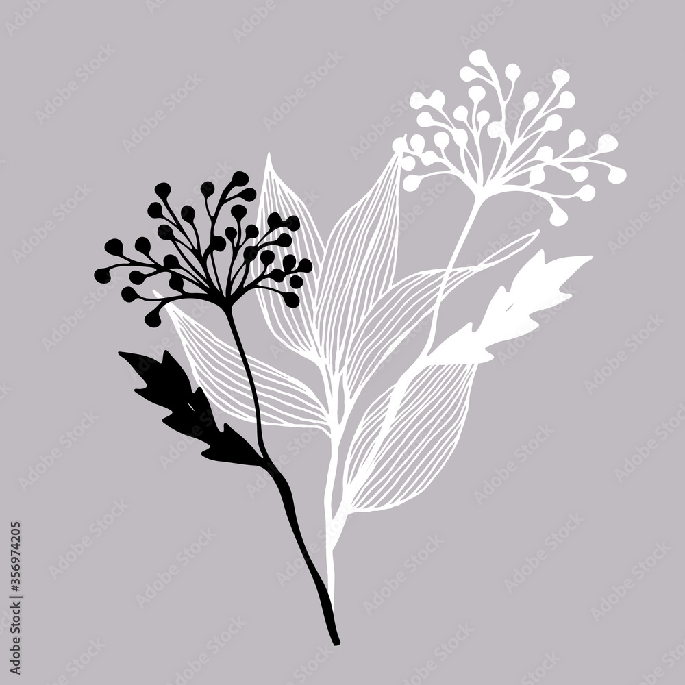 Abstract plants and leaves isolated on grey background. Sketch style. Line art. Tattoo art. Hand drawn illustration for floral design. For invitation, greeting cards, textile, paper and wrapping Abstract plants and leaves isolated on grey background. Sketch style. Line art. Tattoo art. Hand drawn illustration for floral design. For invitation, greeting cards, textile, paper and wrapping