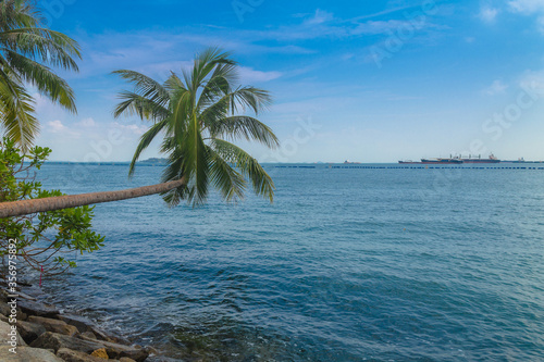 tropical beach with palm trees © Krit