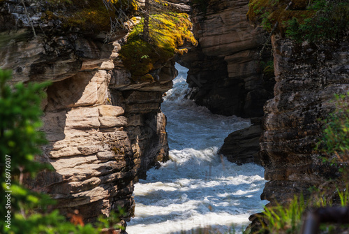 nature sceneries inside Jasper National Park, Alberta, Canada photo