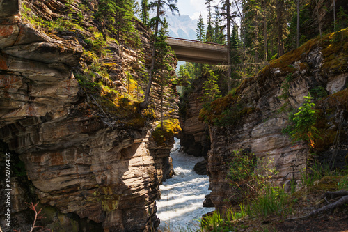 nature sceneries inside Jasper National Park, Alberta, Canada photo