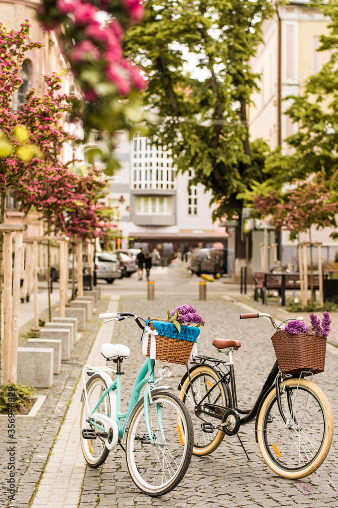 Fototapeta premium Bicycles parked on beautiful medieval streets of Lucca city, Tuscany, Italy.