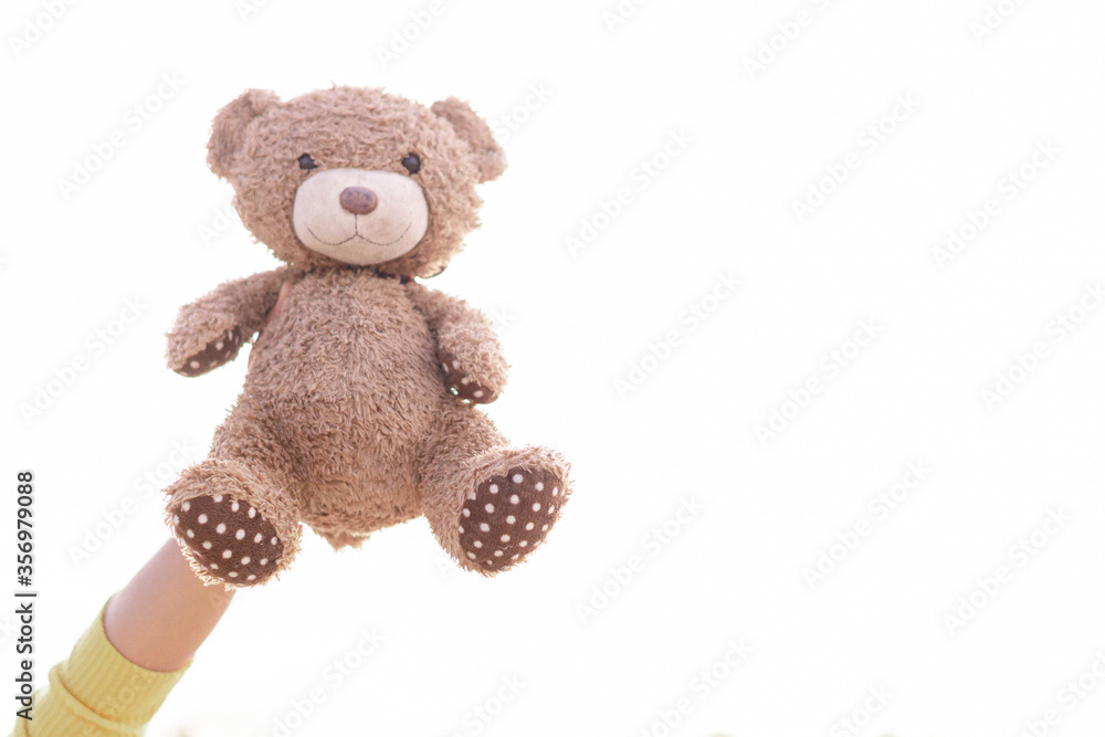 Woman hand holding teddy bear isolated on white background Woman hand holding teddy bear isolated on white background