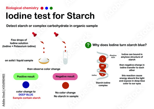 Biology chemistry show experiment of iodine test for detect starch (or carbohydrate) in sample such as food, milk, cosmetic or other