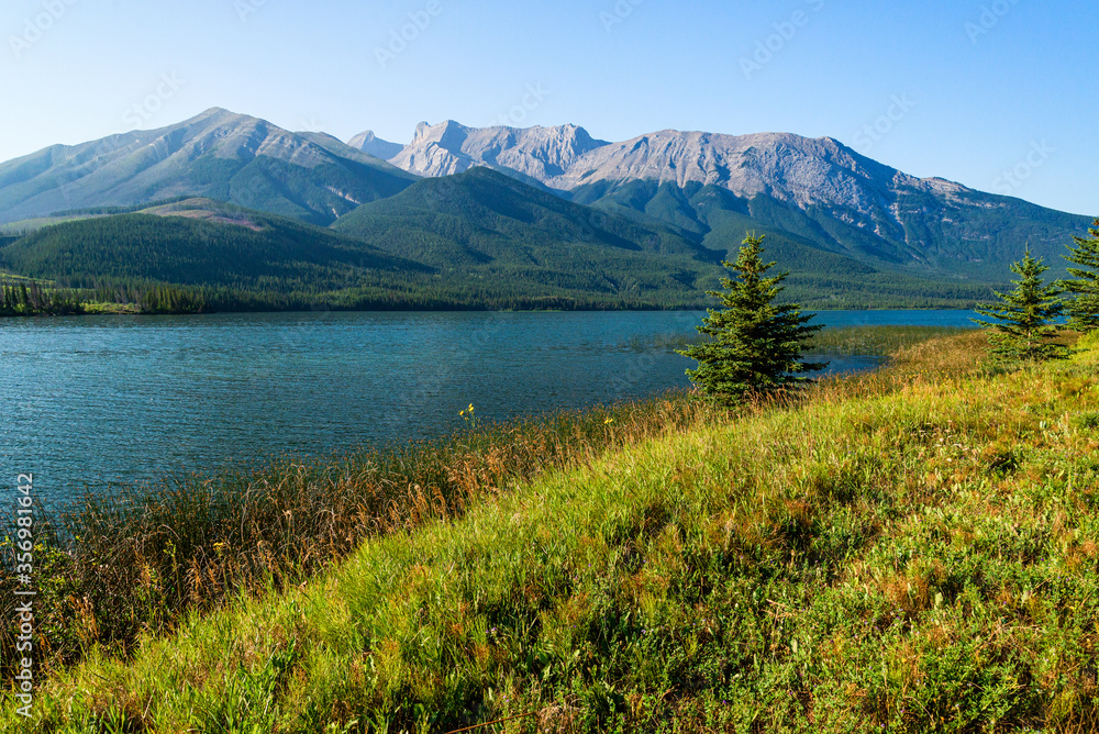 nature sceneries inside Jasper National Park, Alberta, Canada