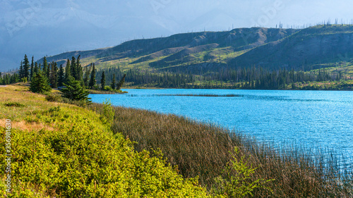 nature sceneries inside Jasper National Park  Alberta  Canada