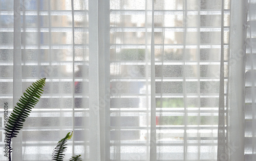 window with shutters and a transparent curtain