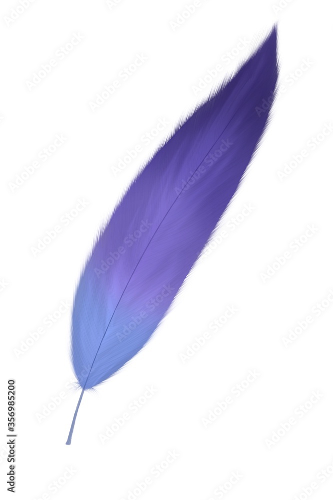 Hand drawn feather illustration. fluffy feathers. for invitation wedding card. Rustic feathers Bright colors. Hand drawn feather illustration. fluffy feathers. for invitation wedding card. Rustic feathers Bright colors.