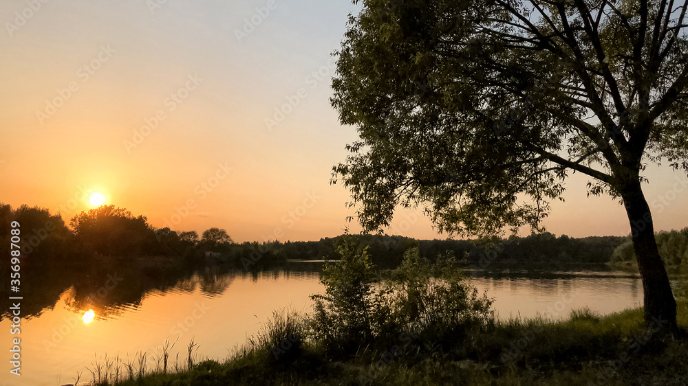 sunset on a forest lake in summer