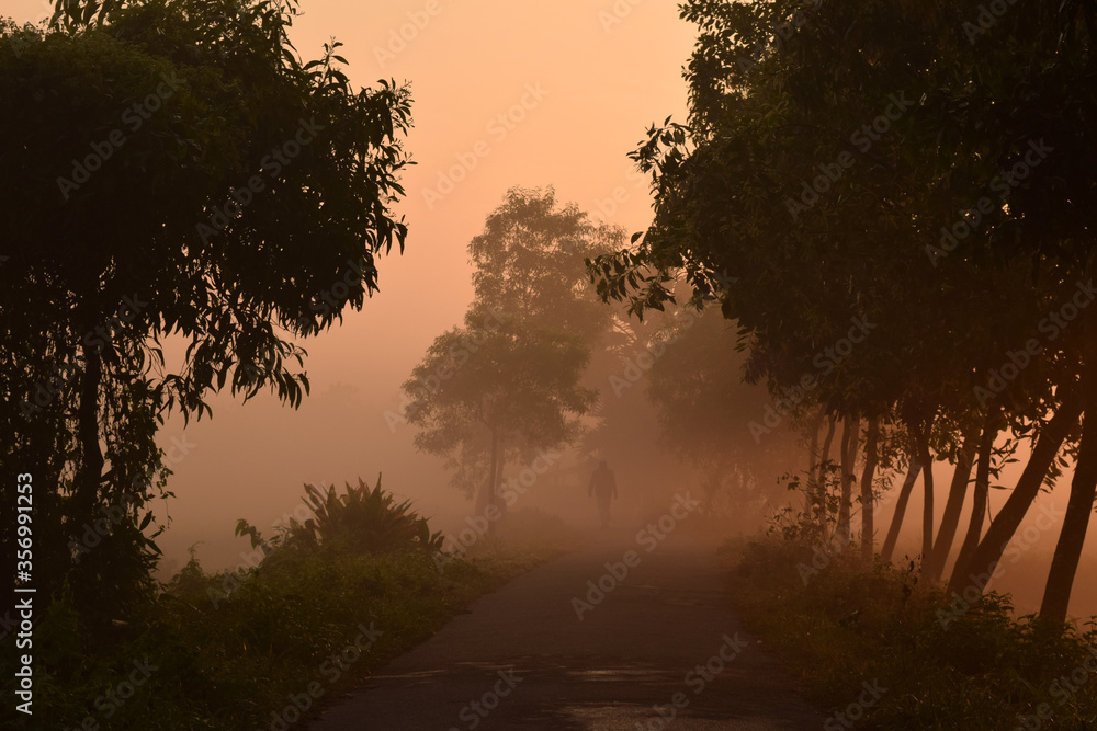 Fototapeta premium Wschód słońca we mgle