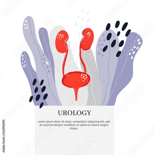 Urology health check banner template 