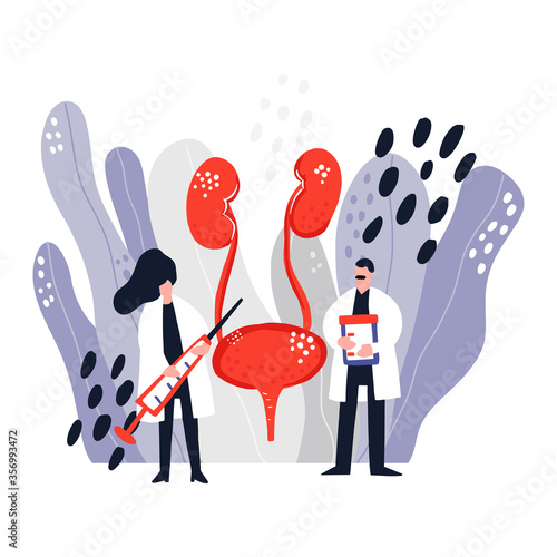 Two doctors treat bladder and kidneys. Medical illustration.