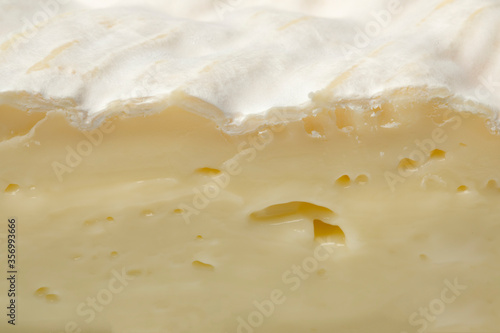 Konstfotografi Fresh white camembert cheese close up