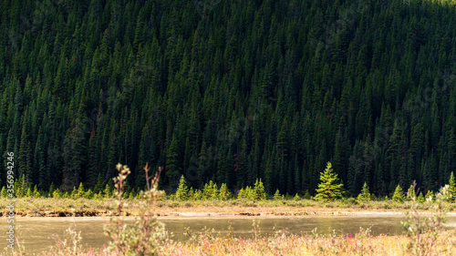 nature sceneries inside Jasper National Park, Alberta, Canada photo