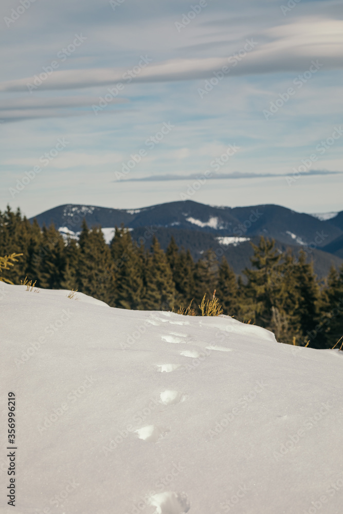 A man riding a snowboard down a snow covered mountain