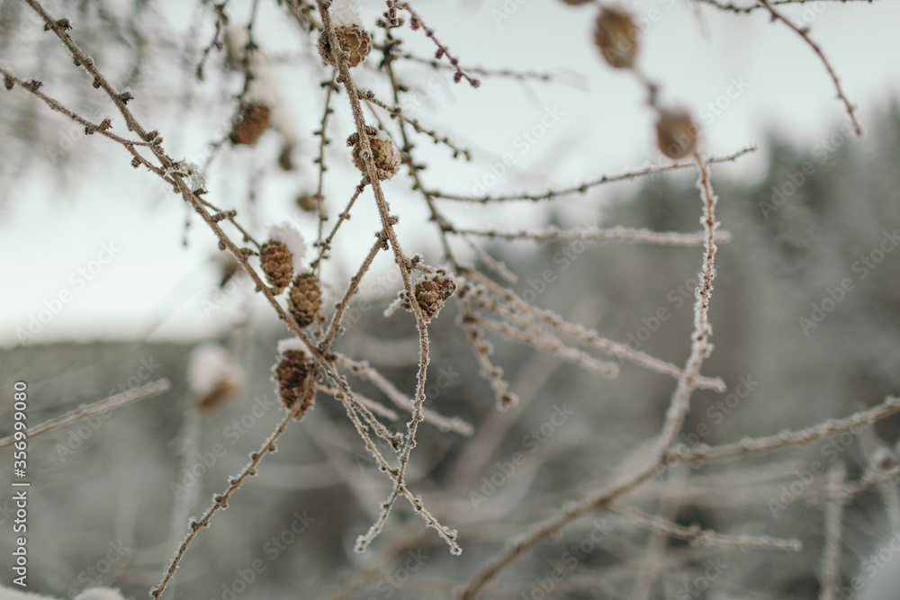 A small bird perched on a tree branch