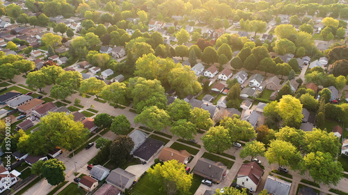 Fotografie, Obraz Aerial view of american suburb at summertime