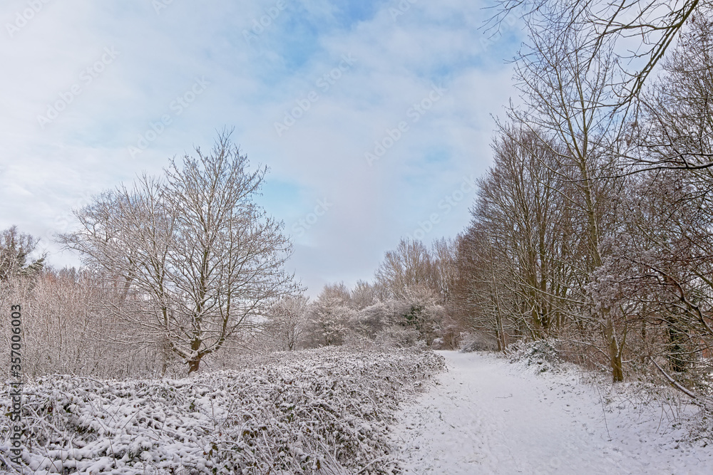 Snow covered winter landscape in Bourgoyen nature reserve. Ghent, Flanders, Belgium Snow covered winter landscape in Bourgoyen nature reserve. Ghent, Flanders, Belgium