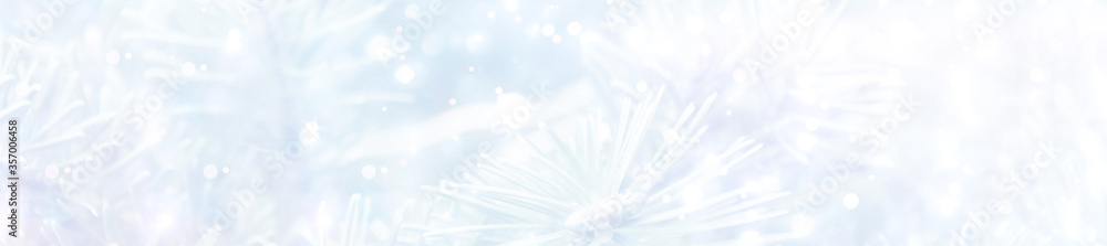 Christmas and winter background banners with fir trees in the snow