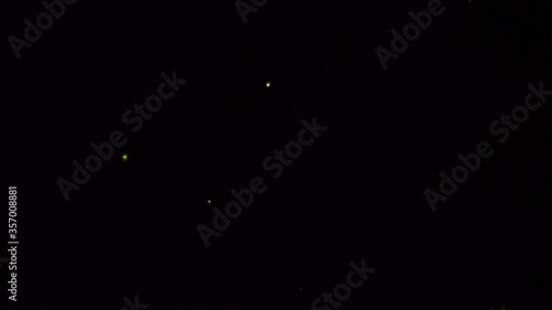 Light of fireflies flying on a summer night in Japan