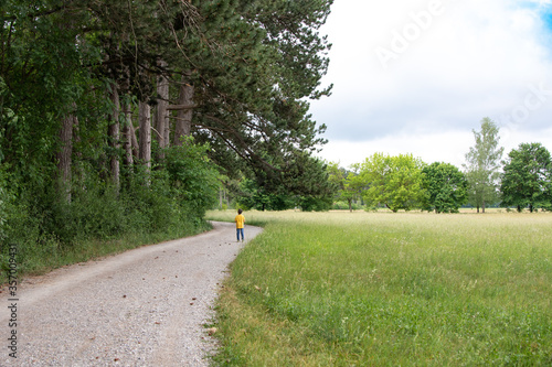 Spaziergang Junge in der Natur photo