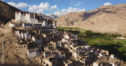 Chemre buddhist monastery in the Himalayas, Ladakh region, sunny aerial day view with mountains and green barley paddy fields in the middle of an arid landscape, religious travel destination in India