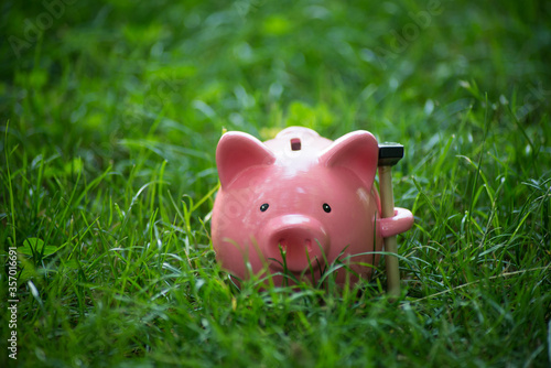 Closeup of pink piggy bank in the grass