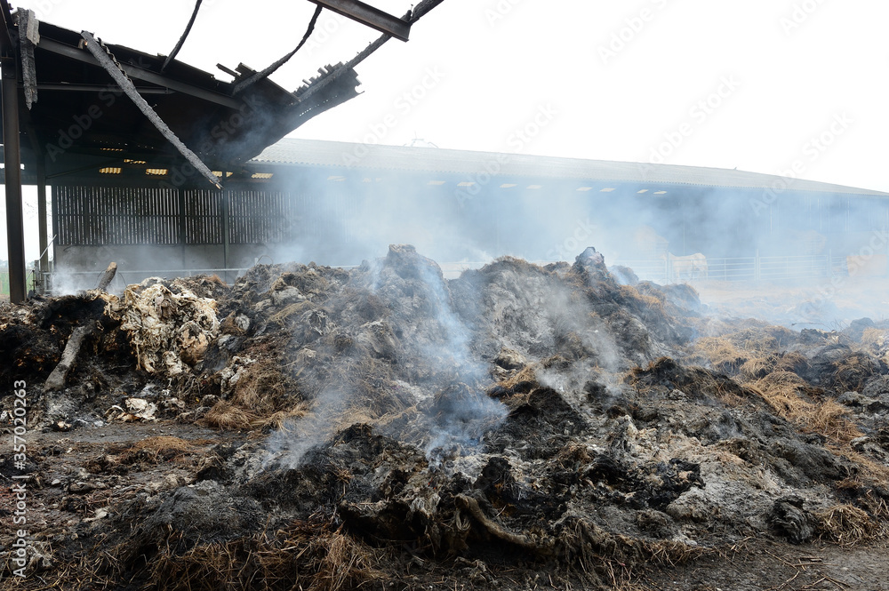 Fototapeta premium incendie, hangar, hangar agricole, feu, criminel, paille, stokage de paille, malveillance, fumee, brule, assurance
