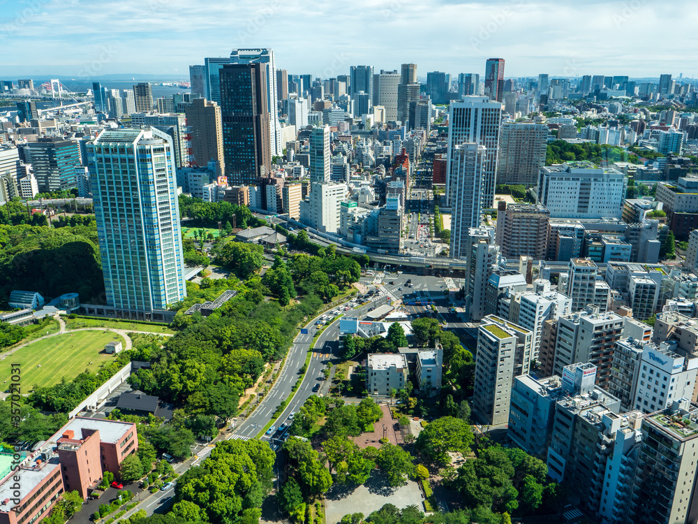Fototapeta premium Aerial view of Tokyo city