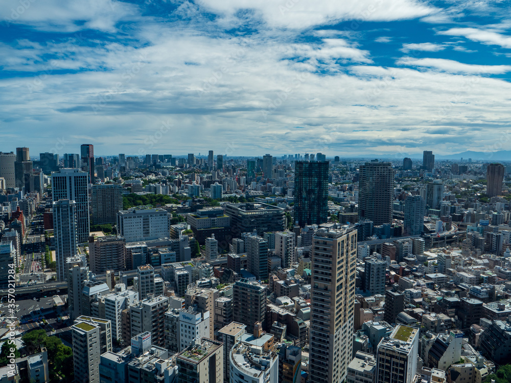 Aerial view of Tokyo city