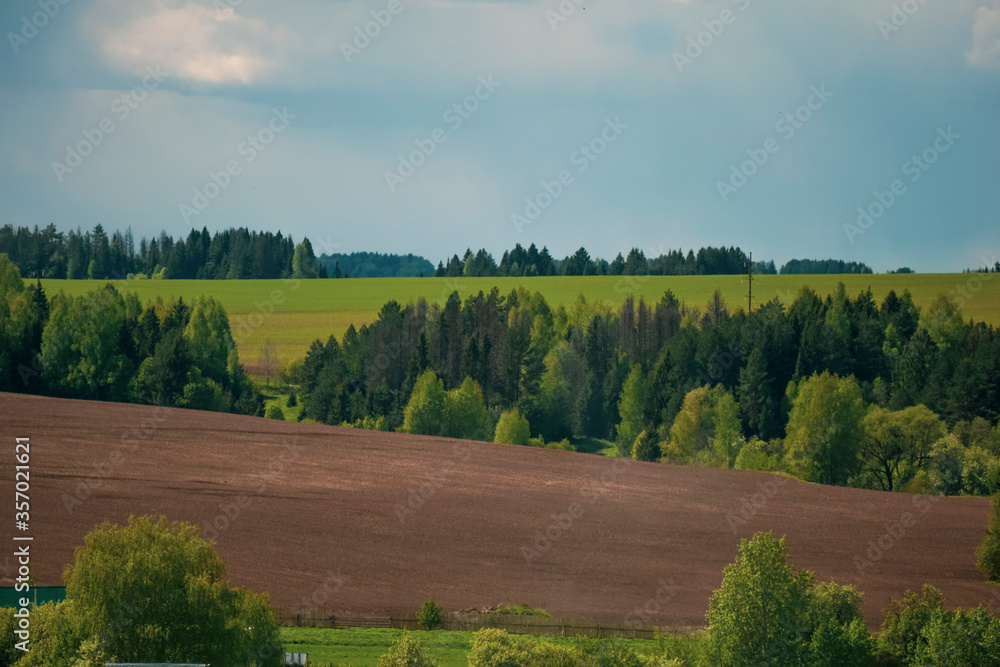 Fototapeta premium landscape with trees