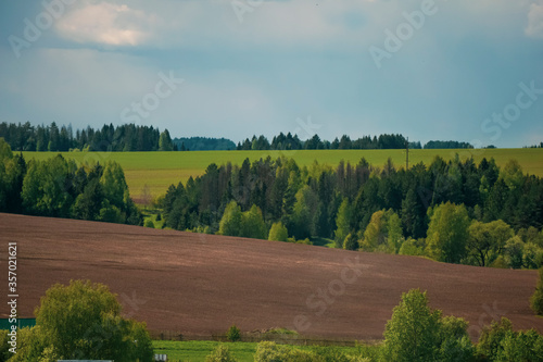 landscape with trees