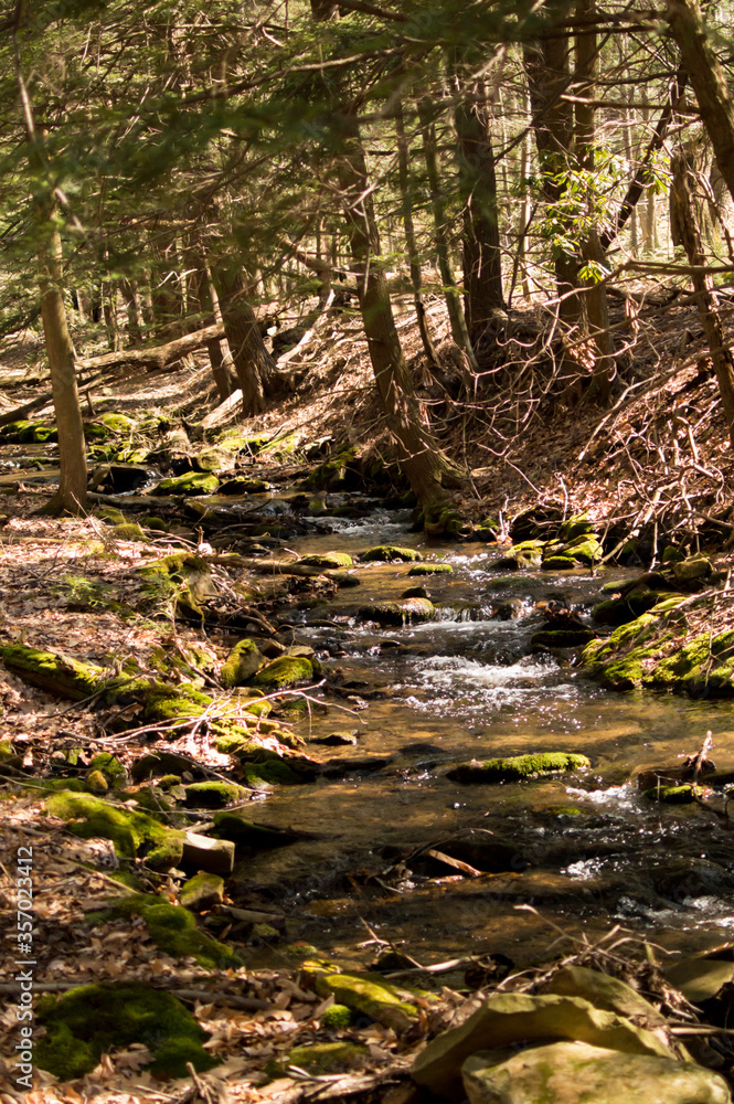gentle mountain stream with warm sunlight. gentle mountain stream with warm sunlight.
