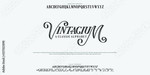 Custom font bundle script serif. aplhabet vector illustrations