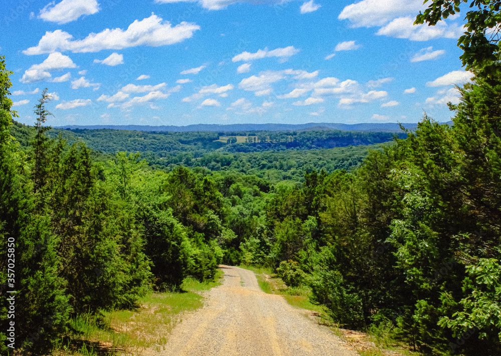 Obraz premium The road less traveled