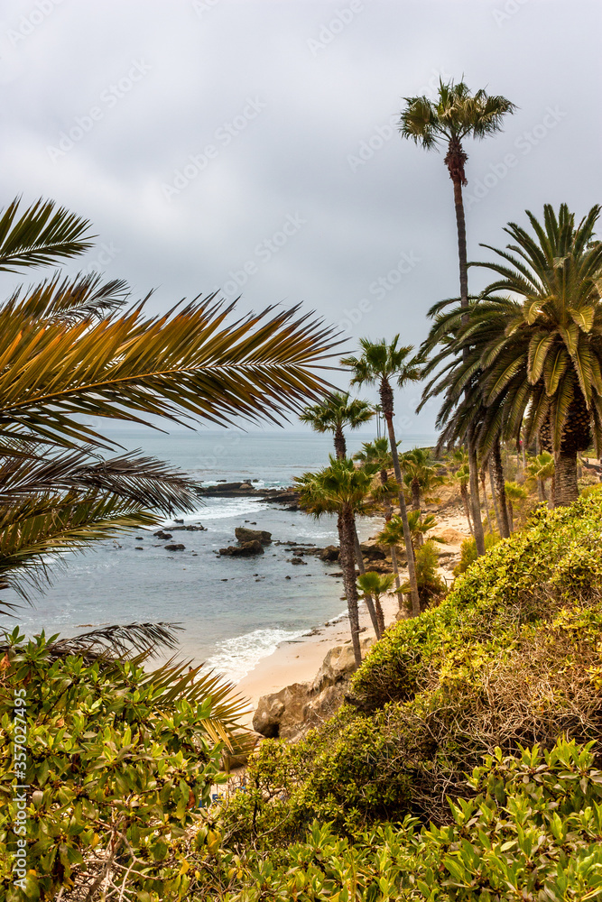 Steilküste mit Palmen
