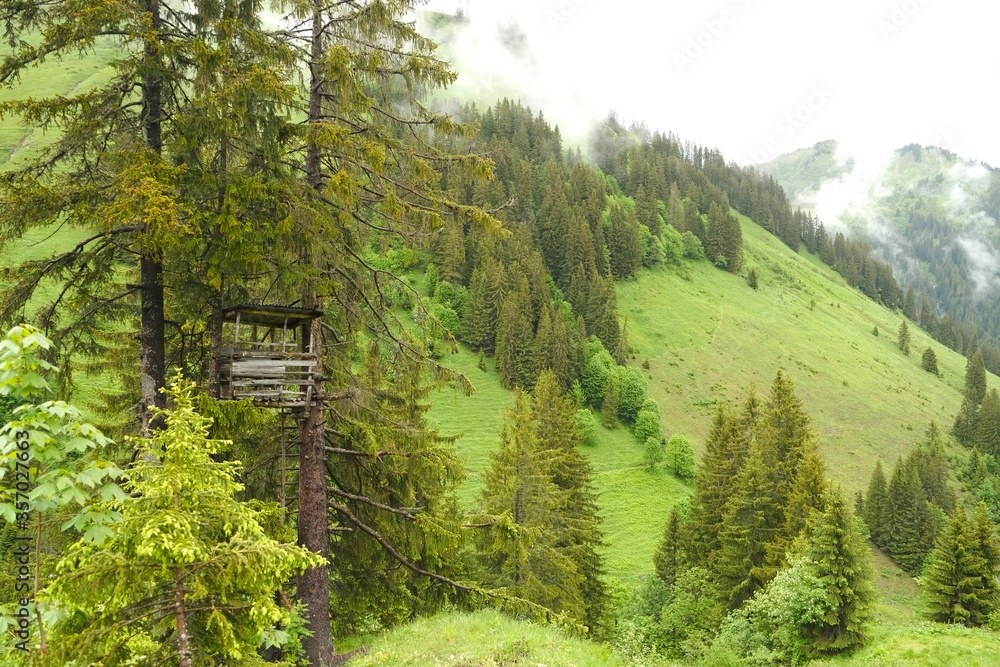 Obraz premium Hochstand in den Bergen