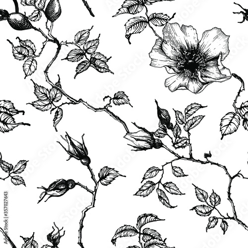 Seasonal vector rosehip flowers seamless pattern. Hand drawn blooming flowers, blossoms, petals, stems, leaves. Perfect for wedding, invitation, greeting, spring, summer, bridal template