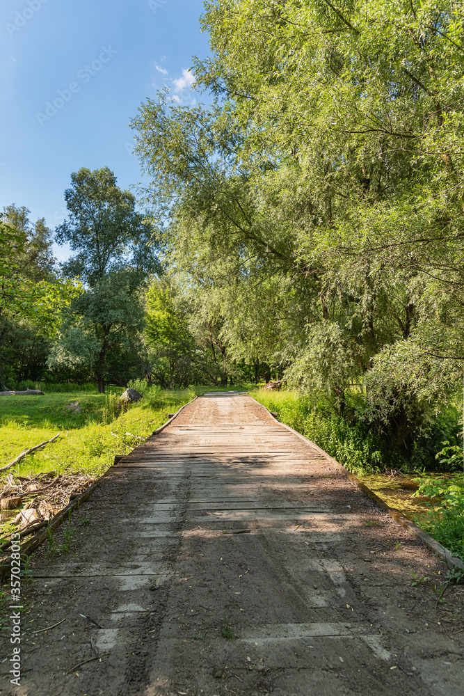 Old wooden bridge in the Special nature reserve 