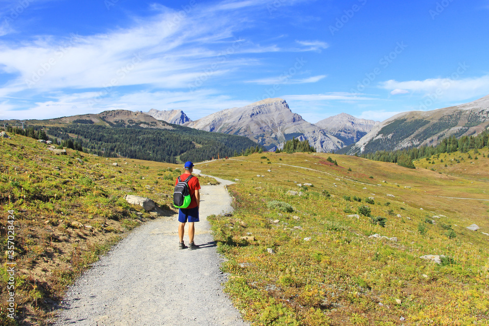Social Distancing summer activity - Visiting Rocky mountains in BC, Canada. The view on man hiker with hat and backpack walking on trail / path in Sunshine Meadows. The mountains in the background. 