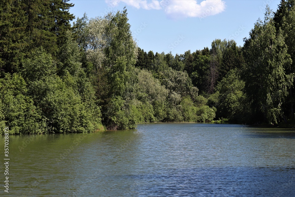 Forest lake surrounded by trees on a sunny day
Forest lake surrounded by trees on a sunny day