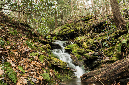 Small cascade over moss covered rocks