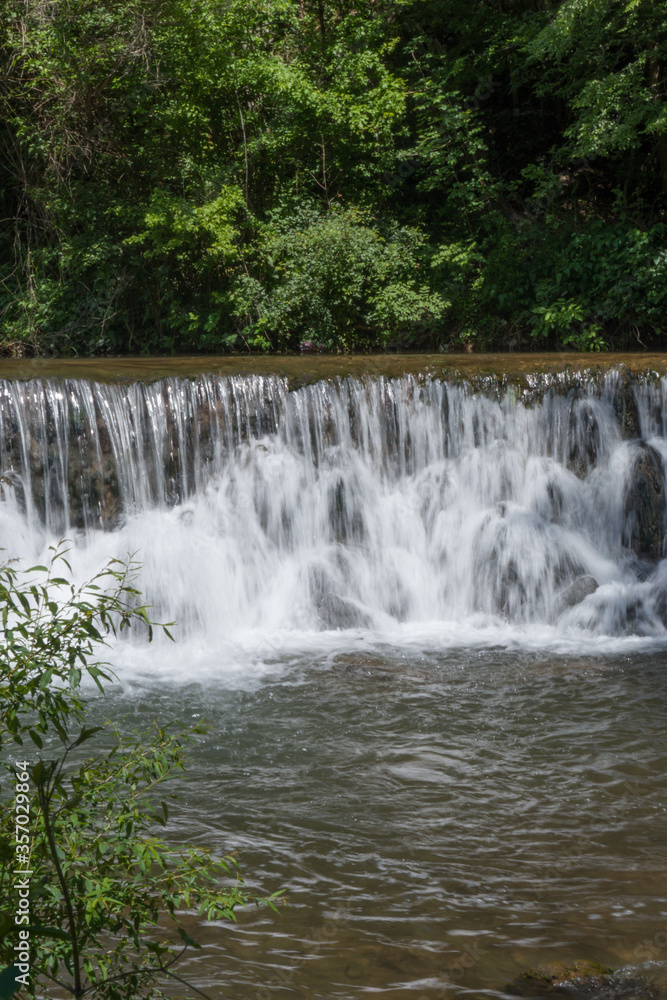 Fototapeta premium waterfall in the forest