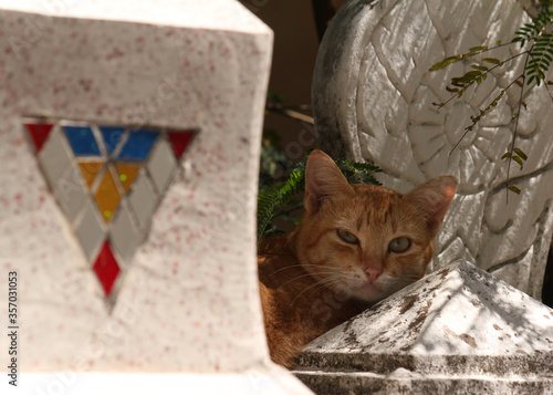 Cat resting on stupa grave roof tops in the shade during hot weather in Southeast Asia