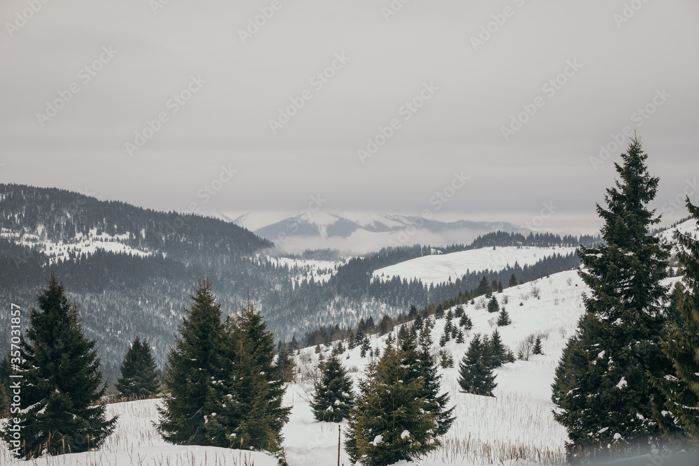 A snow covered mountain travel