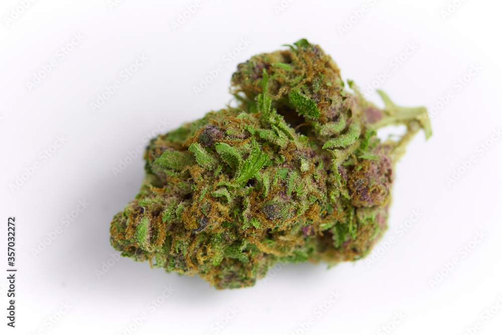 Close up of prescription medical marijuana and recreational weed hybrid OG strain sticky flower bud isolated on a white background Close up of prescription medical marijuana and recreational weed hybrid OG strain sticky flower bud isolated on a white background