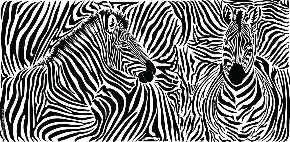 Zebra skin pattern with two heads